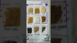 pulses project short#viralshorts