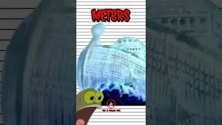 The BIGGEST SHIP In One Piece!
