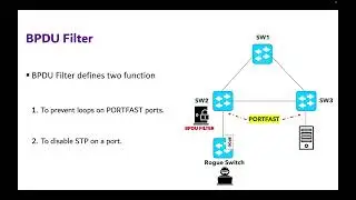2 16 Механизмы защиты STP BPDU Guard и BPDU-фильтр | CCNA 200-301