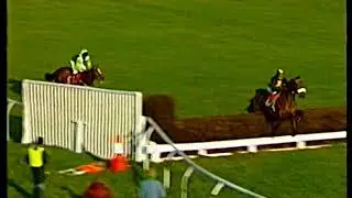 1993 Feltham Novices' Chase See More Indians Includes Replay