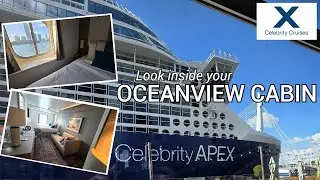 Explore your APEX Oceanview cabin - Celebrity Apex 2025