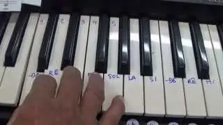 organ căn bản cho người mới bắt đầu học