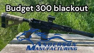 Anderson 300 Blackout Upper Budget Build