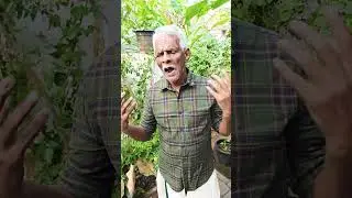 അനുപമേ അഴകേ❤️❤️❤️🌟🌟🌟