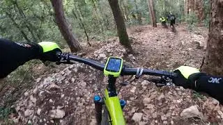 Roio DH 2020