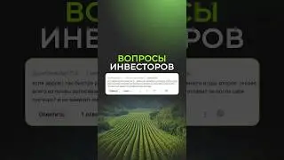 Дерево, которое скоро заменит всю древесину! #бизнес #павловния #инвестиции