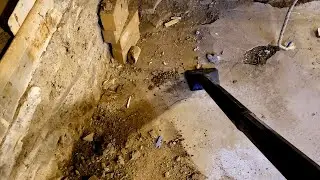 Cleaning Our 1830s Farmhouse Basement&hellip; This Is Gonna Take WAY Longer Than Expected