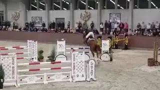 Stenbækgårds Mojito, 5 years Final 2018