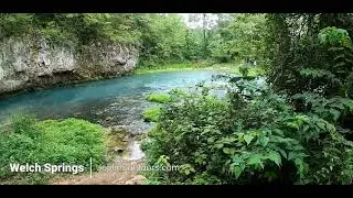Welch Springs - Current River [HD Video]