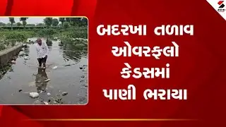 Dholka | બદરખા તળાવ ઓવરફલૉ કેડસમાં પાણી ભરાયા | rain forecast | gujarat | sandesh news