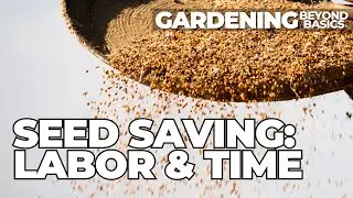 How Much Work Does It Actually Take to Save Seed?