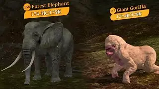 The Wolf - Giants Of Tropical Forest Quest 😑🏆