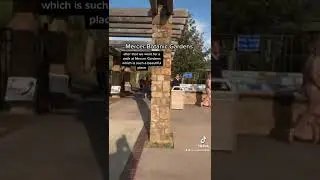 Places Nature Lovers Can Go In Houston Texas | Inhale Nature 🌱