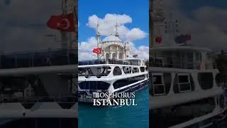 Bosphorus Strait Ferry - Istanbul Ferry Cruise Dinner - Istanbul Island Ferry