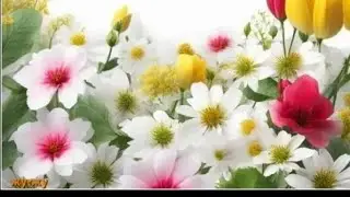 Tanuja Mathur evergreen शनिवार की शांति | सुकून भरी Live#⚘🔴🏝