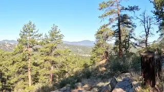 Hiking in pikes National forest.  Lake George Colorado  #hiking #colorado #adventure