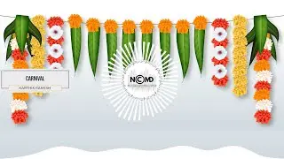 INDIAN INSTRUMENTAL MUSIC 