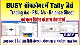 Full Details Show Purchase and Sale  in Profit and Loss Account And Balance sheet in Busy Software