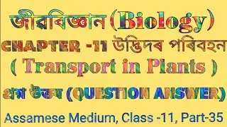 Biology Class 11 Chapter 11 Transport in Plants QUESTION ANSWER Assamese Medium|প্ৰশ্ন উত্তৰ|Part-35