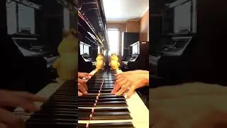 Unbreakable Pride #piano