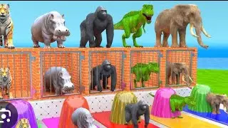 Elephant Tiger Gorilla Hippo T-Rex 3d Animal Crossing gorila dainasor,cow #game 🔥