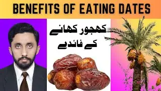 Dates Fruit: The Ultimate Guide to Benefits and Nutrients | Health benefits of Dates | Medguide