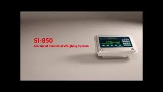 Essae SI-850  Industrial Weighing System