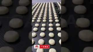 Bread product machinery line  loaf toast  豆沙包烘焙设备生产线