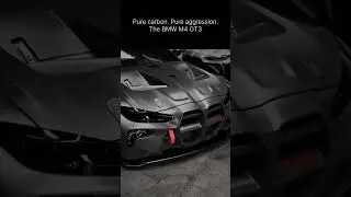 BMW M4 GT3 in Full Carbon Fiber &ndash; The Ultimate Racing Machine #carshorts #bmw #bmwm4 #bmwm4gt4