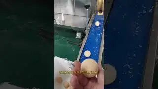 Stuffed Churros Machine | Kubba Kibbeh Kebbe Kubbe Encrusting Making Machine Price