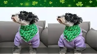 ARING PET St. Patrick's Day Dog Bandana-Green Clover Dog Bandana, Cotton Trefoil Dog Scarf Dogs Tri