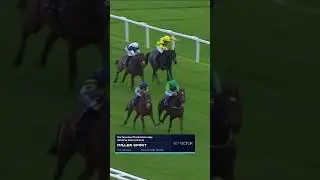 Miller Spirit | BetVictor Flat Season Finale | Friday 25th October #horseracing