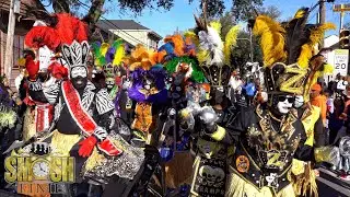 Zulu Tramps + The Truth Brass Band @ Zulu Parade 2022