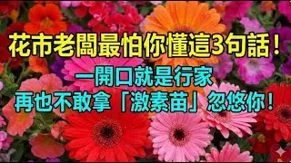 花市老闆最怕你懂這3句話！一開口就是行家，再也不敢拿「激素苗」忽悠你！#園藝 #養花 #新手養花