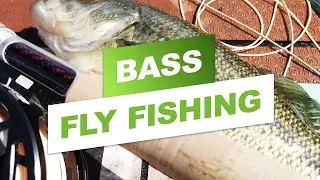Bass fishing Presque Isle on the SUP | Disclaimer: I suck!