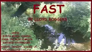 Fast by Lloyd Rodgers (Modern Classical)