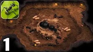 The Ants : Underground Kingdom - Gameplay Walkthrough Part 1 (Android & iOS)