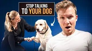 Should I talk to my dog? Dog Training