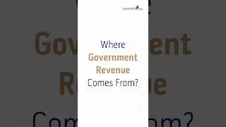 Where Government Revenue Comes From?