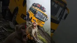 bandar vala video #animals #viral #shortvideo