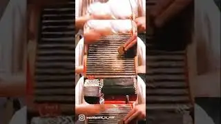 Dog brushes washboard playing