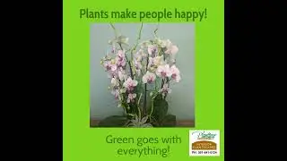 Plants make people happy!
