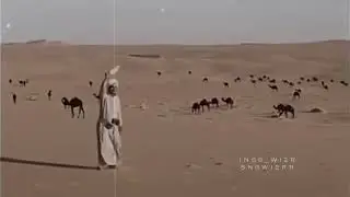 محلى الوصل فالهوى - ظبي الفياح - مهدي الحارثي ♪.