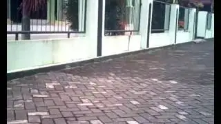 FPV 1508 Micro Quad Copter (Mini Camera Drone) - Steady