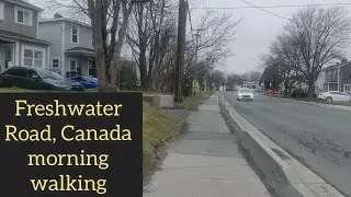 Morning walk along Freshwater Road to my apartment, St. John's, Newfoundland, Canada