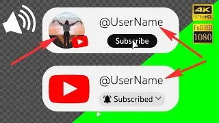 YouTube Subscribe Button Animation | Green Screen & Transparent 4K/HD | Custom Overlay