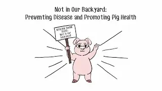 Not in Our Backyard: Preventing Disease and Promoting Pig Health