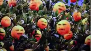 Behind the Scenes of Annoying Orange at Kappa Studios