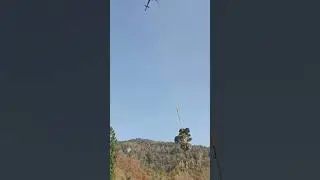#helicopter #bonsai #travel #tree #gardening #mountains #garden #bonsaitree #automobile #farming