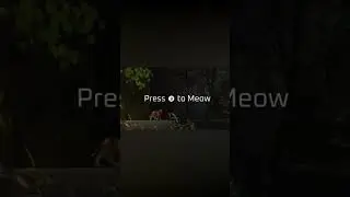 When you find the Meow Button on #Stray